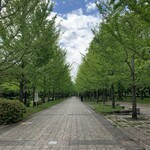 らー麺　Do・Ni・Bo - 山形県総合運動公園☘️
