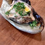 東屋 - 生ガキ（京都伊根産）