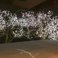 佐賀牛 Sagaya 銀座 - 