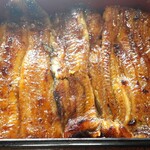 うなぎ割烹　玉勘 - 鰻重(特) こりゃあ旨いに決まってる♪(´ε｀*)