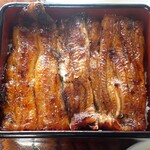 うなぎ割烹　玉勘 - 縦に並べた鰻は初めていただきました |дﾟ)ﾉｨｪｨ