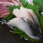 薩摩魚鮮水産 - 