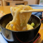 うどん山菜 塩屋 - 