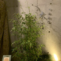 日本料理 太月 - 