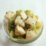 サーラ アマービレ - 