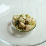 サーラ アマービレ - 