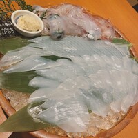 寅八商店 心斎橋店 -  寅八商店 心斎橋店 -