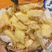 寅八商店 心斎橋店 -  寅八商店 心斎橋店 -