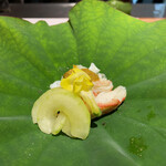 馳走 啐啄一十  - 