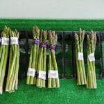 JAびほろ野菜直売所 ビースター - 店内