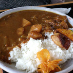 道の駅 能勢くりの郷 - おばちゃんカレー