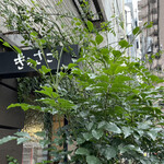 きっさこ - 外観│店名が、、木々の中に埋もれてしまってました