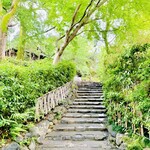 未在 - ◎円山公園の石段を下るとお弟子さんがお迎えに立っている。