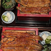 にょろ助 銀座 - 