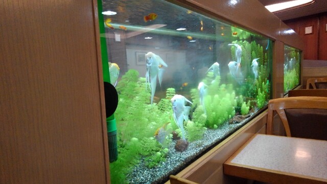フラミンゴ 池袋 喫茶店 食べログ フラミンゴ 池袋 喫茶店 食べログ