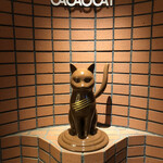 CACAOCAT - 