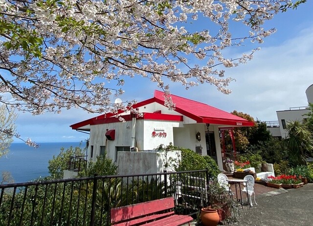 ティールーム 赤いやね 川奈 喫茶店 食べログ ティールーム 赤いやね 川奈 喫茶店 食べログ