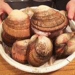 京天神 野口 - ●トリガイ