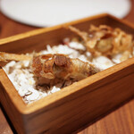 ル スプートニク - 