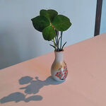 ランソレイエ - 四つ葉のｸﾛｰﾊﾞｰ