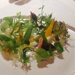 レフェルヴェソンス - 