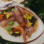 レフェルヴェソンス - 