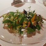 レフェルヴェソンス - 