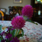 カフェ よくなるよくなる - 2011年9月、癖になるくらいに・・・再訪問!!