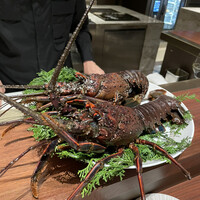 スガラボヴィー - 