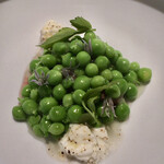 レスピラシオン - ギサンテラグリマ 七面鳥 / スナップエンドウ