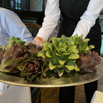 ウシマル - アーティチョーク