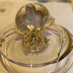 ウシマル - 蟹トラフカラッパとパクチー