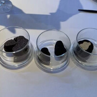 Terres de Truffes, Tokyo - 