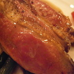 モンプチコションローズ - 鳩　アップ