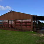 カフェくるくま - 庭からの外観