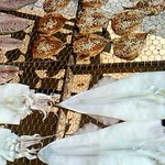 鮮魚・お食事処 山正 本店 - 店頭で自家製干物天日干し