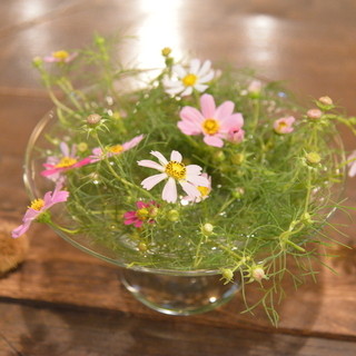 ティータイム ガルニ_2