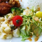 Ryu's Kitchen MINT TREE - からコロセット