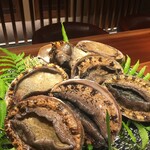 Black abalone from Wakayama Prefecture