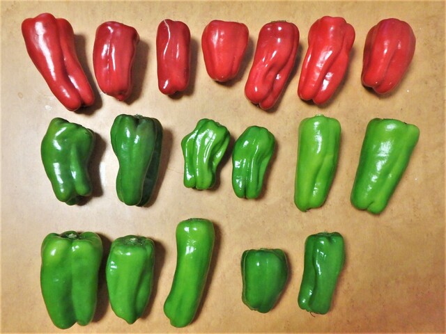 安田農園 ふれあい市場 大崎町その他 その他 食べログ