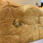 Kangaeta Hito Sugoi Wa Hiroshima Ten - 2020/12/14  横から