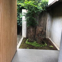 レフェルヴェソンス - 