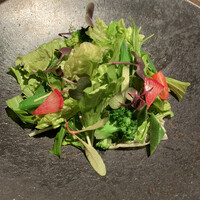 D'ORO HATSUDAI - 