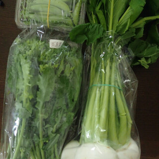みんなの広場 野菜直売所_0