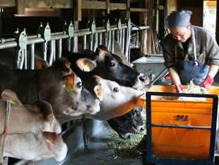 まきばのおもてなし（ジャージーソフト） - 宮守（ジェラート・アイスクリーム）の写真