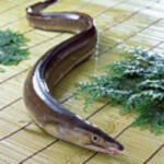 寿司・日本料理 みのわ - 