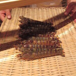 鮨 さかい - これから茹でられます