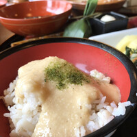 浅草むぎとろ 本店 - 