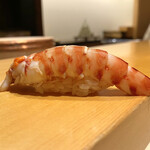 鮨 はしもと - ・車海老【追加】