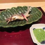 銀座 しのはら - 「四万十川の鮎塩焼き」